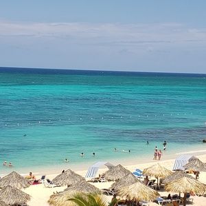 Meet your Posher, Frankie